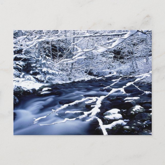 Snowy Stream - Postcard (Front)
