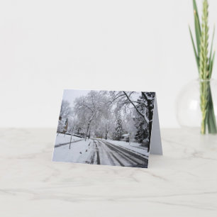 Snowy Street Pine Trees Winter Scene Card