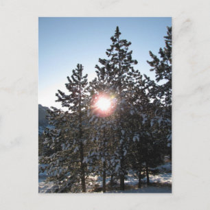Snowy sunrise in Colorado Postcard