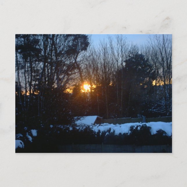 Snowy Sunrise Postcard (Front)