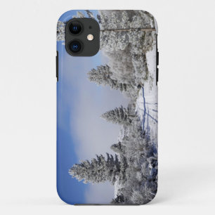 Snowy Track and Pine Trees, Cambrians, near St iPhone 11 Case