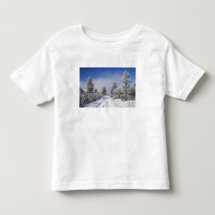 Snowy Track and Pine Trees, Cambrians, near St Toddler T-Shirt
