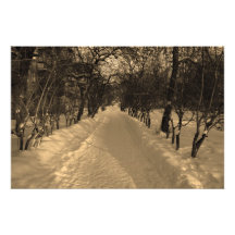 Snowy track with trees in sepia