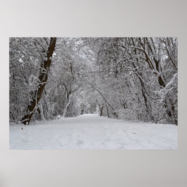 Snowy Trail Poster (Front)