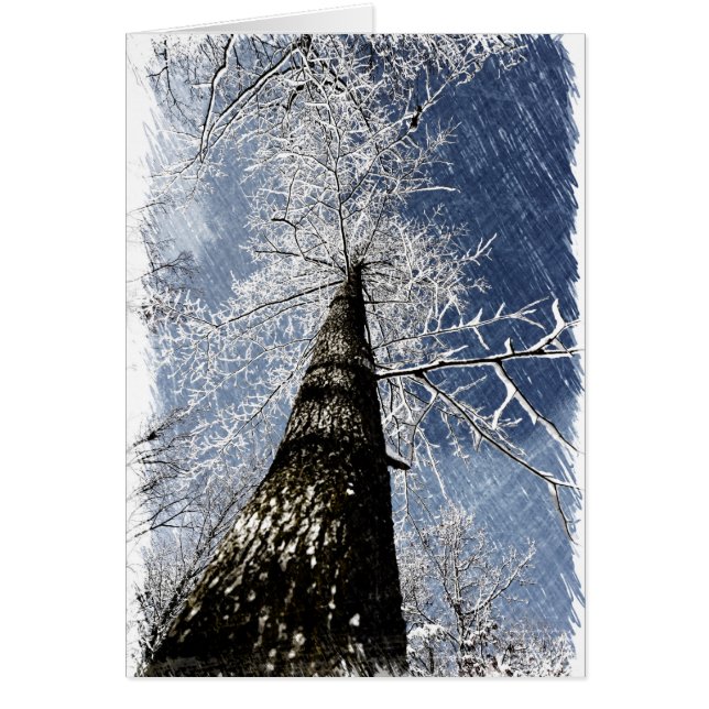 Snowy Tree (Front)