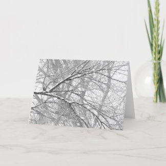 Snowy Trees Holiday Card