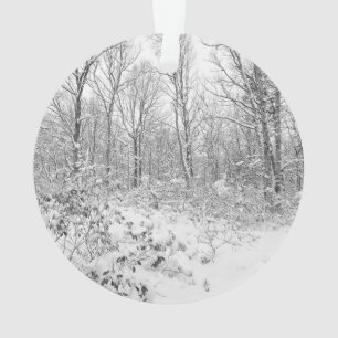 Snowy Trees in the Poconos Ornament