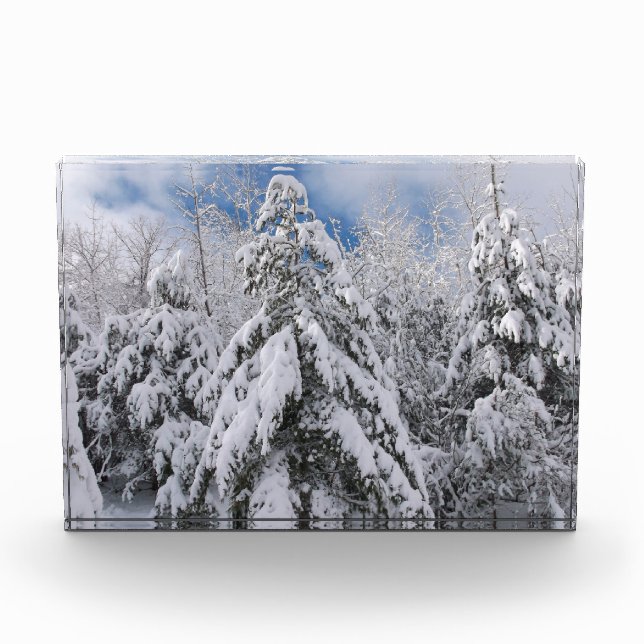 Snowy Trees Photo Block (Front)