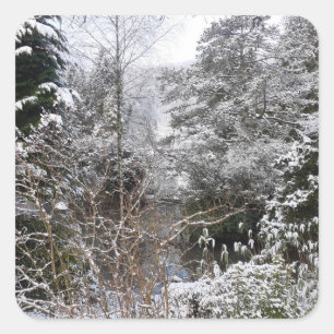 Snowy Trees Square Sticker