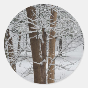 snowy trunks classic round sticker