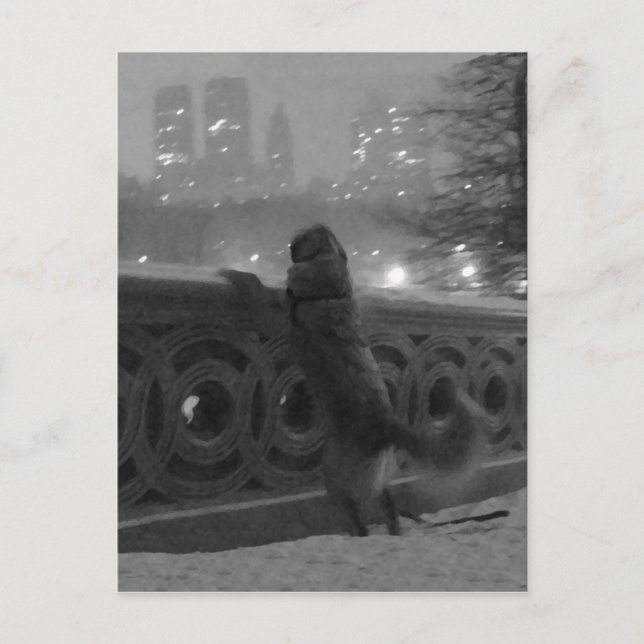 Snowy View from Bow Bridge-Central Park Postcard (Front)