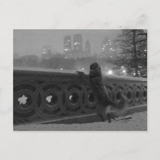 Snowy View from Bow Bridge Postcard