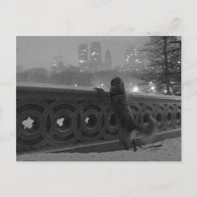 Snowy View from Bow Bridge Postcard (Front)