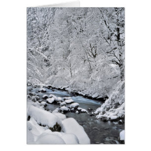 Snowy white creek scenic, Oregon