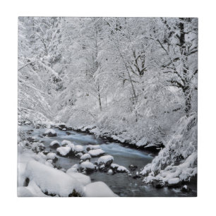 Snowy white creek scenic, Oregon Ceramic Tile