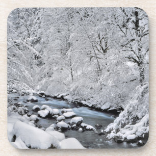 Snowy white creek scenic, Oregon Coaster