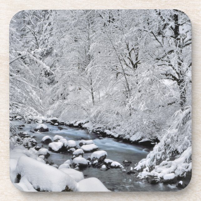 Snowy white creek scenic, Oregon Coaster (Front)