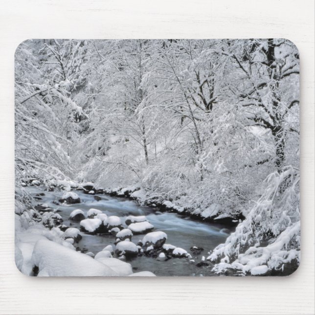 Snowy white creek scenic, Oregon Mouse Pad (Front)
