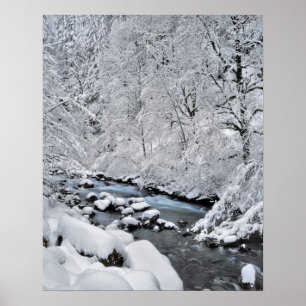 Snowy white creek scenic, Oregon Poster