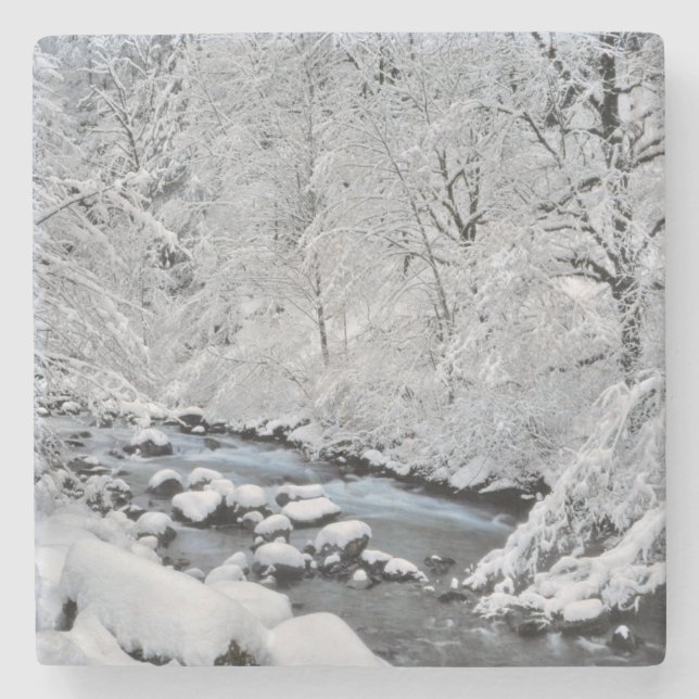 Snowy white creek scenic, Oregon Stone Coaster (Front)