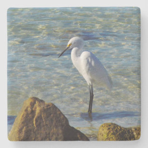 Snowy White Egret Stone Coaster