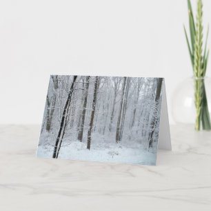 Snowy White Poplar Forest Card