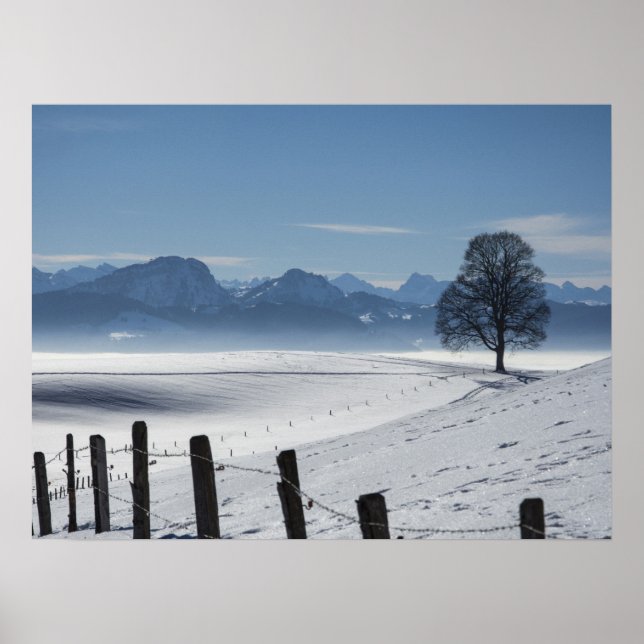 Snowy Winter Countryside Landscape Photo Poster (Front)