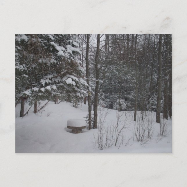 Snowy Winter Day Postcard (Front)