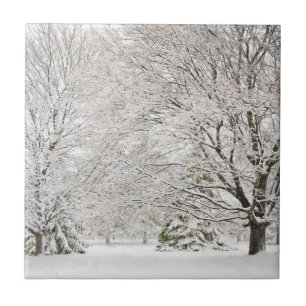 Snowy Winter Forest Ceramic Tile