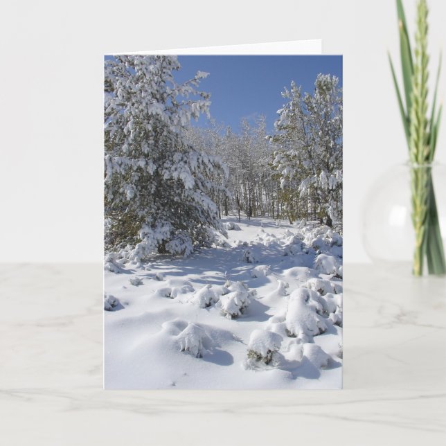 Snowy Winter Forest Greeting Card (Front)