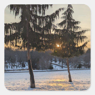 Snowy winter landscape in New England Square Sticker
