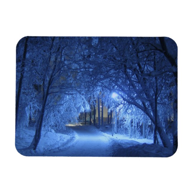 Snowy Winter Night Magnet (Horizontal)