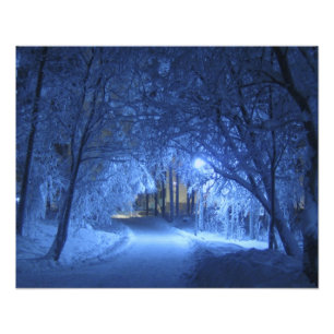 Snowy Winter Night Photo Print