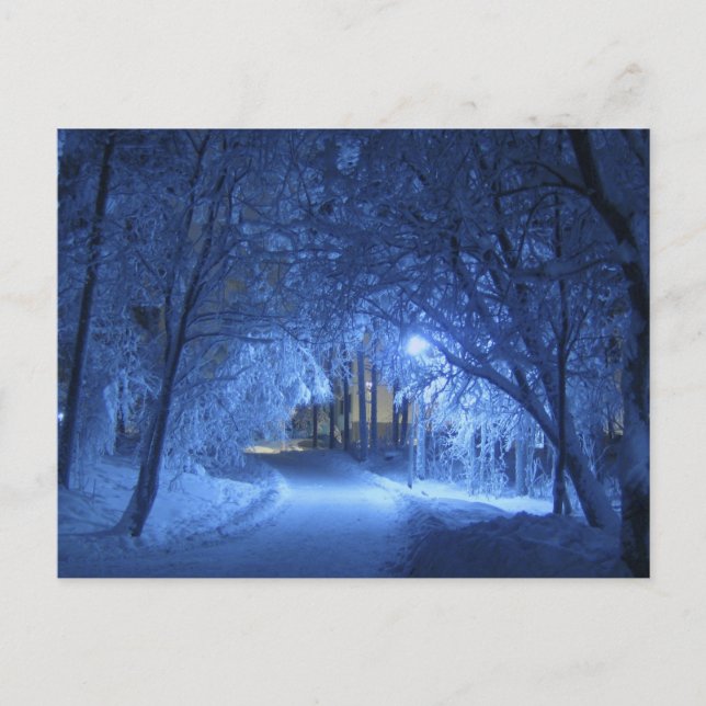 Snowy Winter Night Postcard (Front)