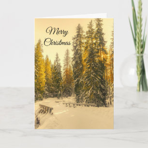 Snowy Winter Path with Pine Trees Christmas Card