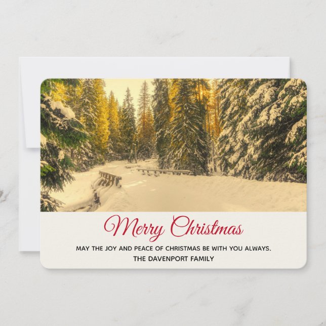 Snowy Winter Path with Pine Trees Christmas Holiday Card (Front)