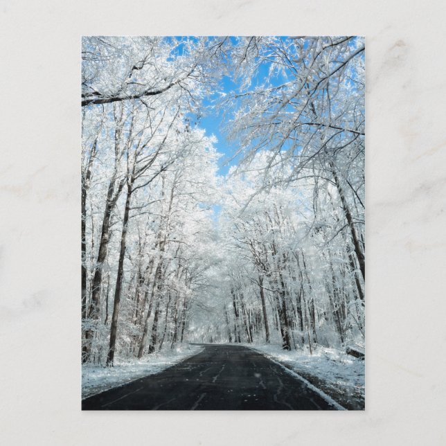 Snowy Winter Road Scene Postcard (Front)