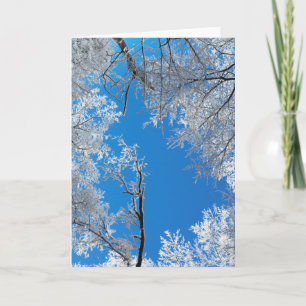 Snowy Winter Scene Holiday Card