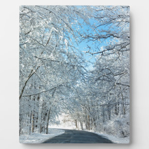 Snowy Winter Trees Plaque