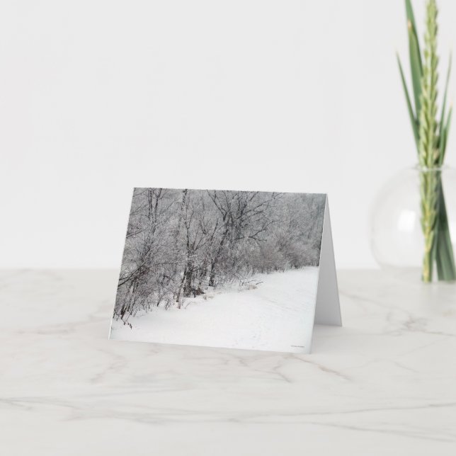 Snowy Woods Blank Note Card (Front)