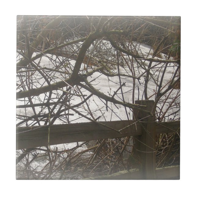 Snowy Woods Ceramic Tile (Front)