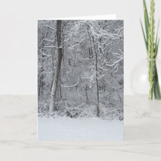Snowy Woods Christmas Card 5x7