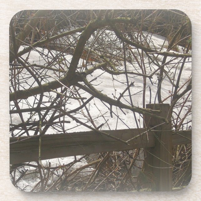 Snowy Woods Coaster (Front)