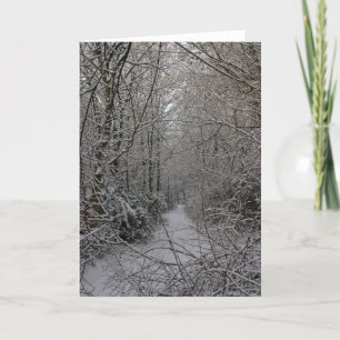 Snowy Woods Holiday Card