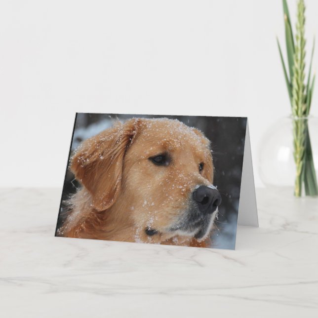 Snowy Wyatt card (Front)