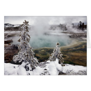 Snowy Yellowstone