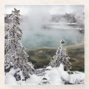 Snowy Yellowstone Glass Coaster