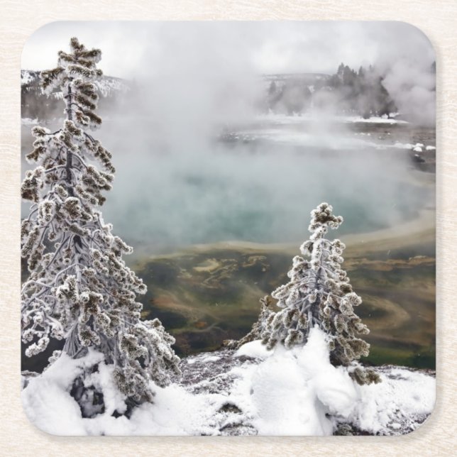 Snowy Yellowstone Square Paper Coaster (Front)