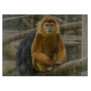 Snub-Nosed Monkey in Woodland Refuge Cutting Board