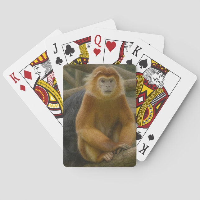 Snub-Nosed Monkey in Woodland Refuge Playing Cards (Back)